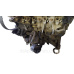 Двигун 1.5 dCi K9K830 Scenic Megane Kangoo Clio Duster Sandero Logan Dokker Lodgy Renault Megane 3 (2009-2015) Двигун 1.5 dCi K9K830 Scenic Megane Kangoo Clio Duster Sandero Logan Dokker Lodgy Renault Megane 3 (2009-2015)