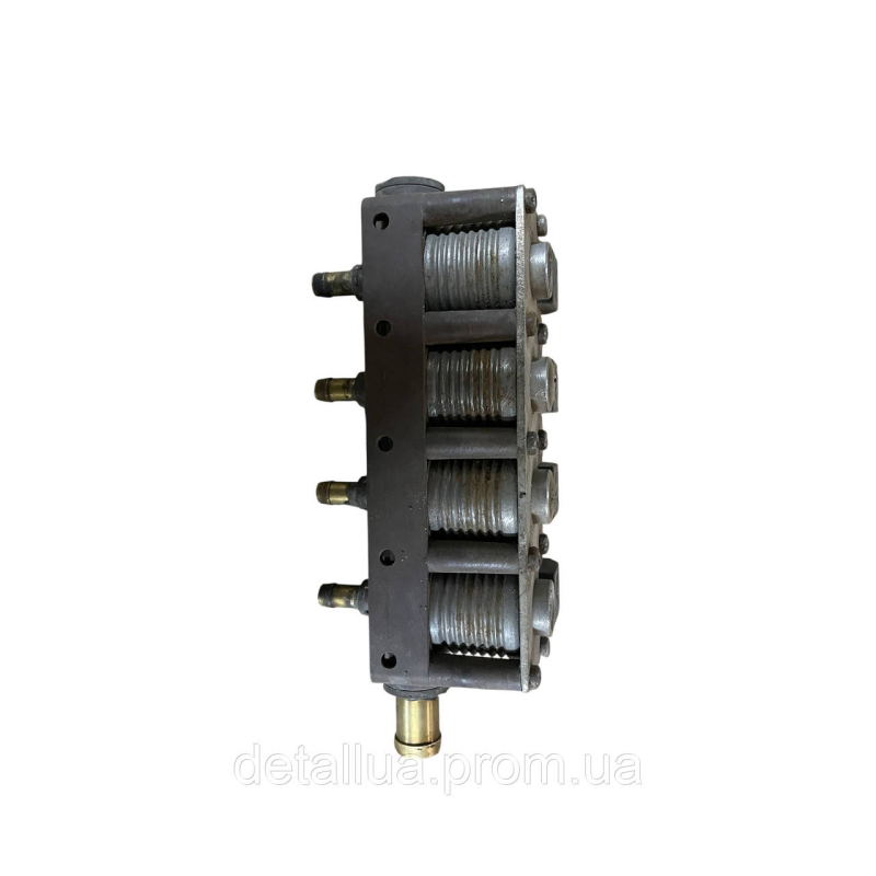 Газові форсунки AC W02-4 Dacia Sandero, Renault Sandero (2008-2012)